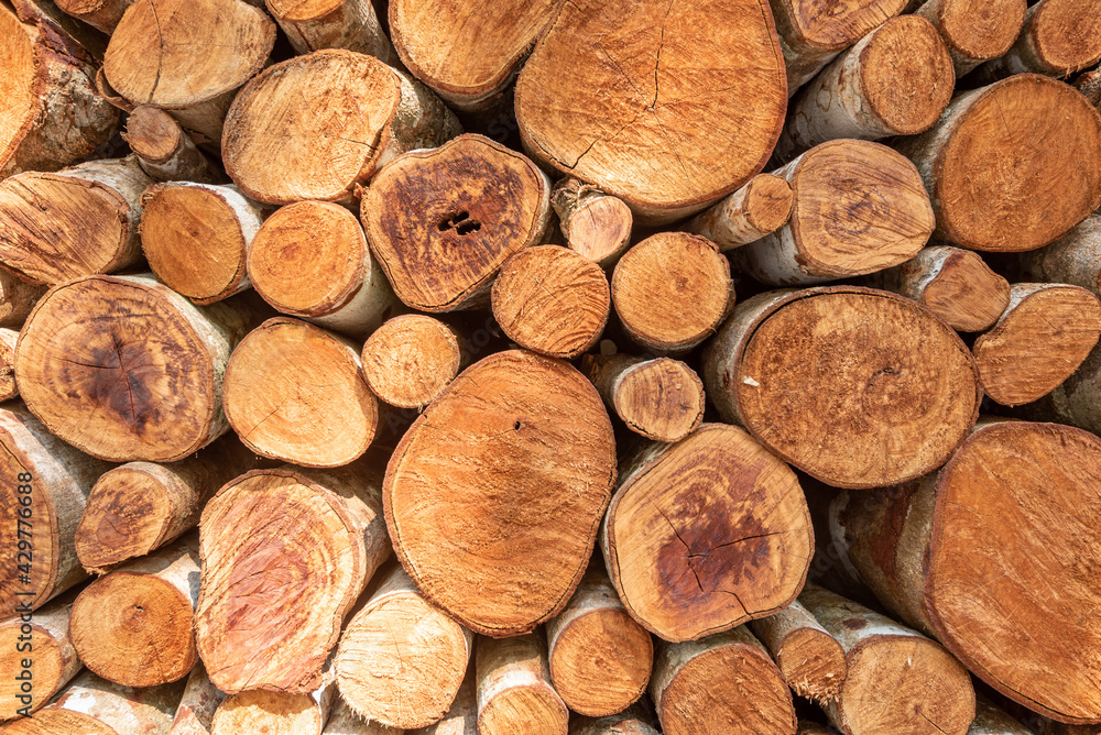 pile stacked natural sawn wooden logs background
