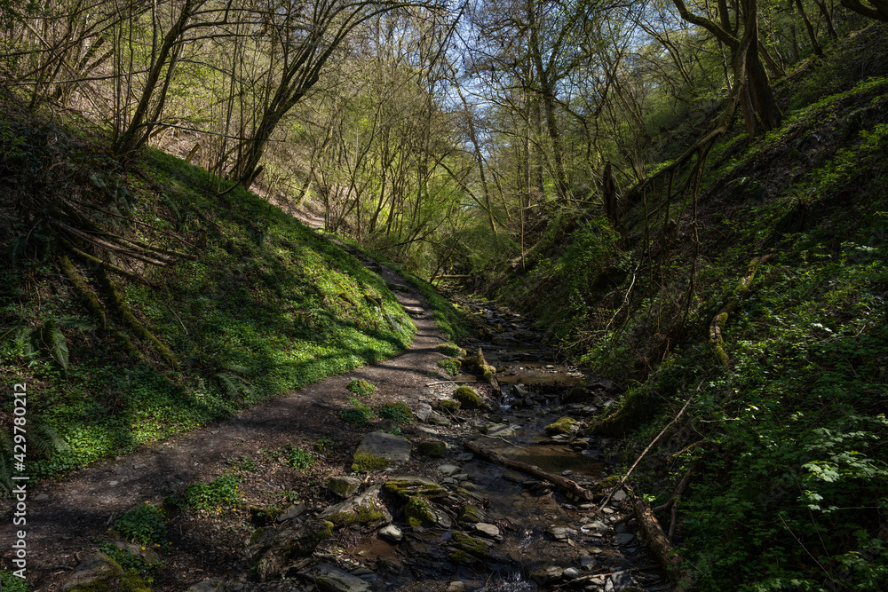 Rheinsteig bei St. Goarshausen April 2021 Rheinsteig bei St. Goarshausen April 2021