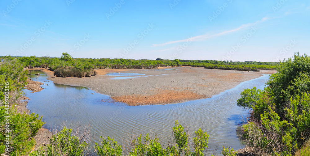 panoramic view of the marshes of the ornithological par of Le Teich, a small village on the Arcachon basin, in New Aquitaine, in the south-west of France