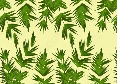 bamboo forest background