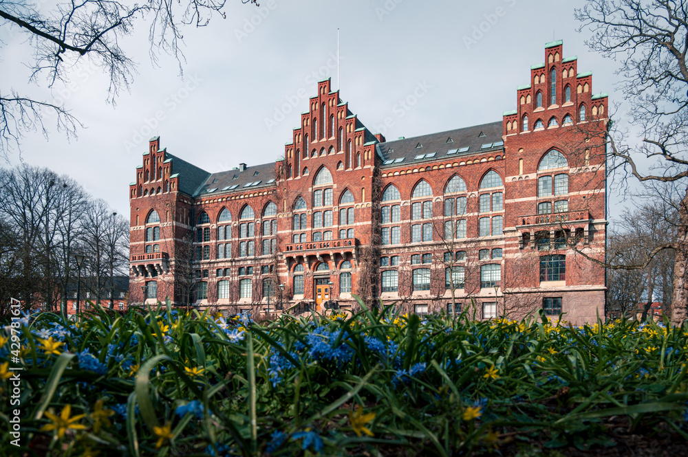 The historic red brick Lund university library in front of spring flowers in springtime in Lund Sweden