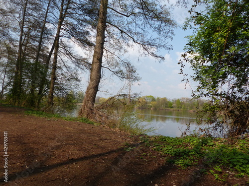 Wald Pfad am See