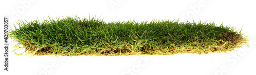 Isolated Grass Patch on White