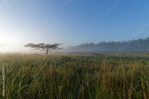 Swasiland (Eswatini) - Mlilwane Wildreservat - Summit Trail photo