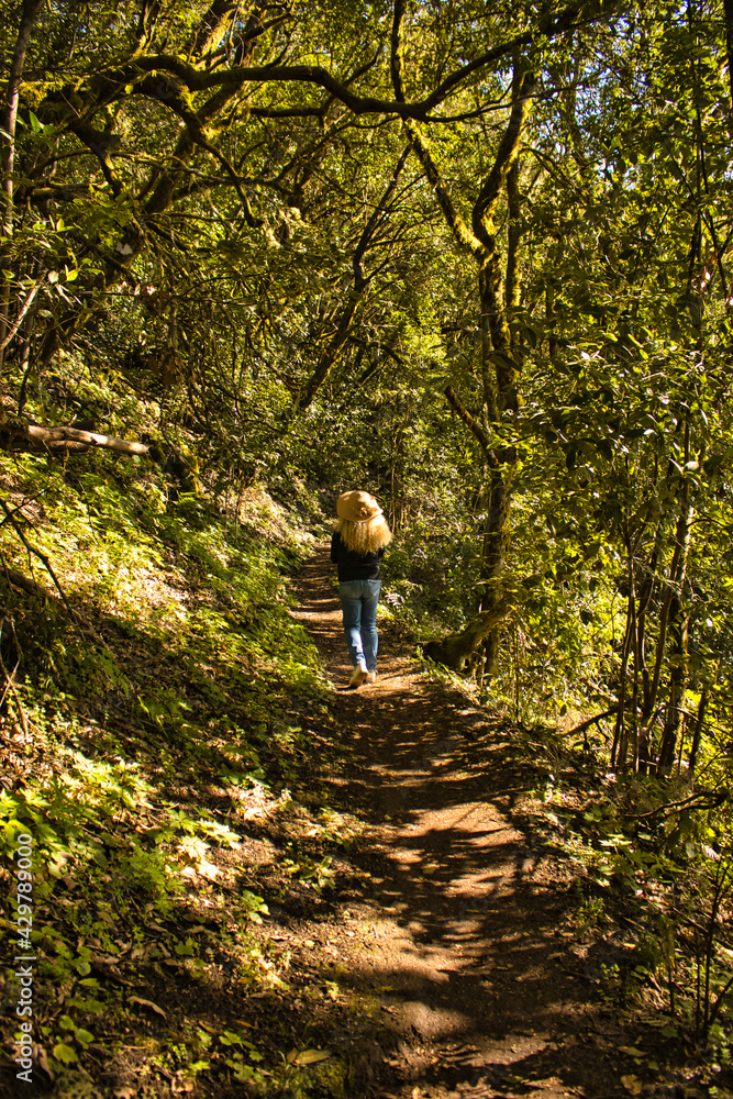 woman practicing trekking on a path inside the forest