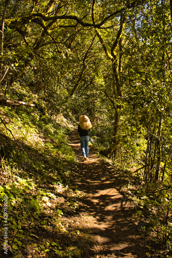 woman practicing trekking on a path inside the forest woman practicing trekking on a path inside the forest