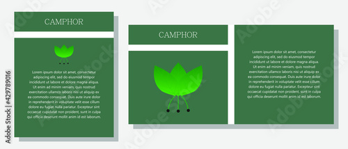 Camphor. Information banner or tag in two designs. Description and useful properties of camphor. Template for essential oil, spices. Brochure with blank space for text.