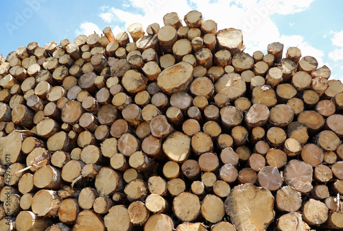 background of cut logs stacked ready to be brought into the sawmill