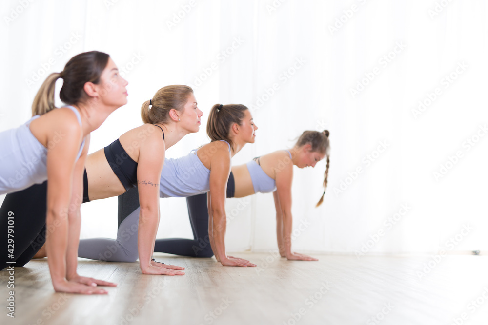 Group of young sporty women in yoga studio, practicing yoga. Healthy active lifestyle, working out indoors in gym Group of young sporty women in yoga studio, practicing yoga. Healthy active lifestyle, working out indoors in gym