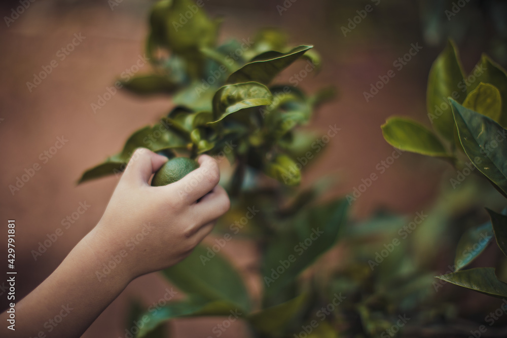 Criança Brincando