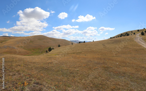 hills without people during the summer season