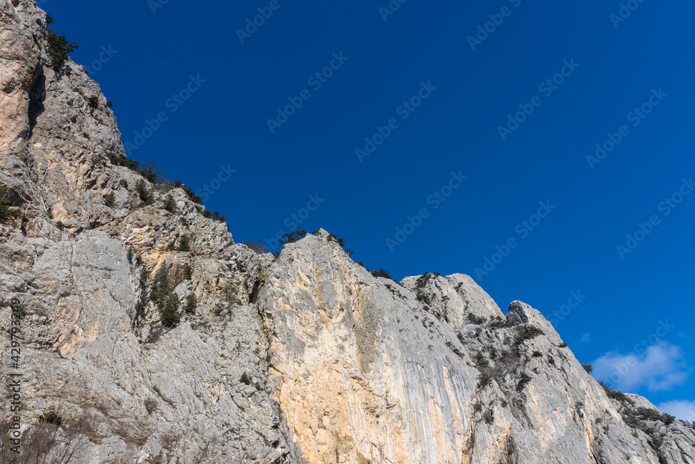 Top of the white mountain with stone pines close up on a sunny day Top of the white mountain with stone pines close up on a sunny day