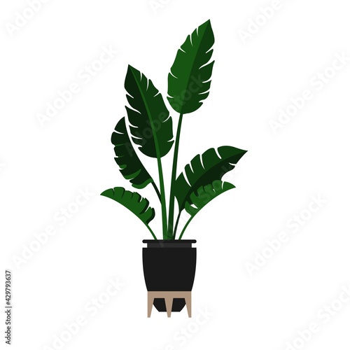 Palm plant. Vector illustration. Indoor plant in modern Scandinavian style.

