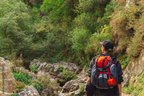 person from the back with a red backpack observing the impressive and lush forest landscape. girl doing trekking through the forest. active tourism and outdoor activities.
