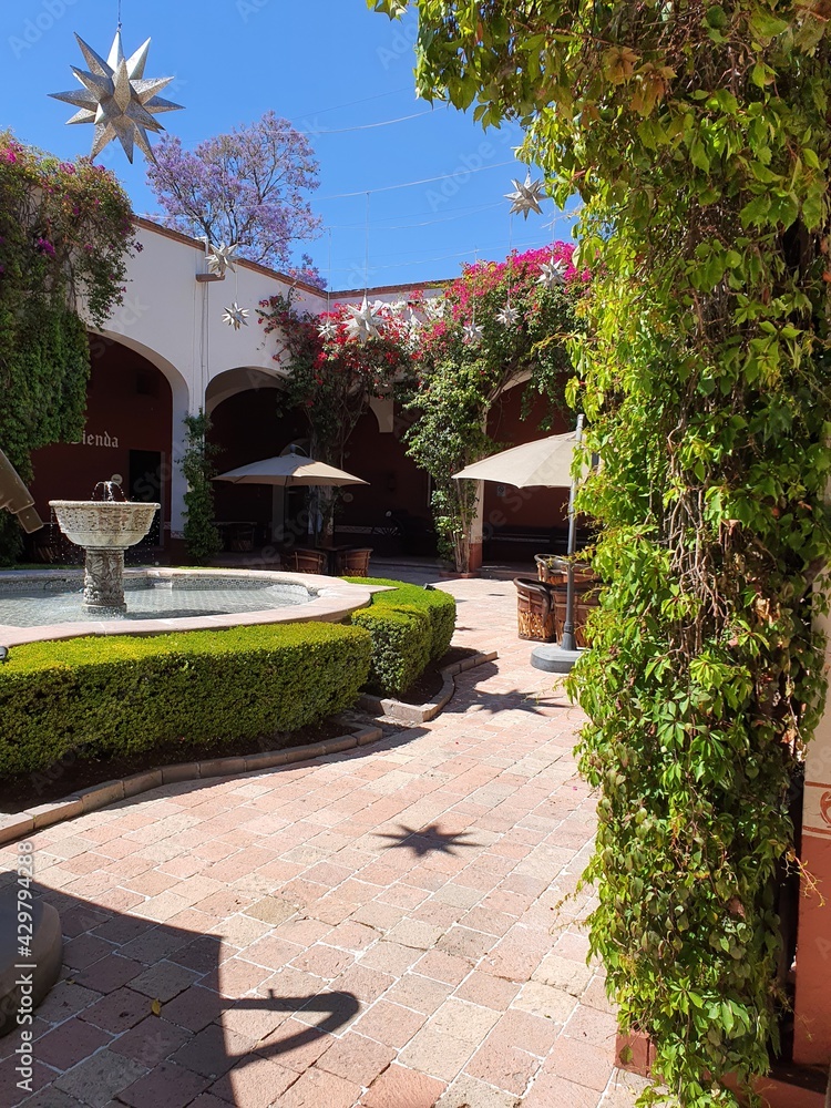 Fototapeta premium garden