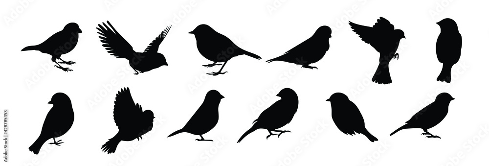 custom made wallpaper toronto digitalSet of black bird silhouettes. Vector elements for design.