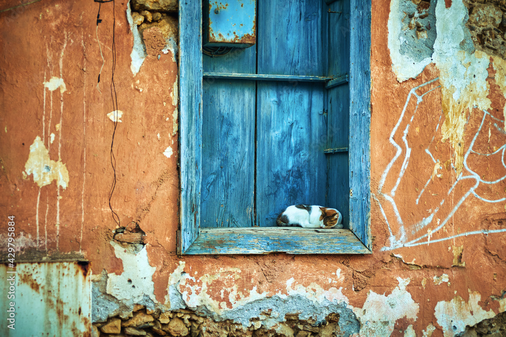 The cat is resting on an old dilapidated windowsill. The cat is resting on an old dilapidated windowsill.