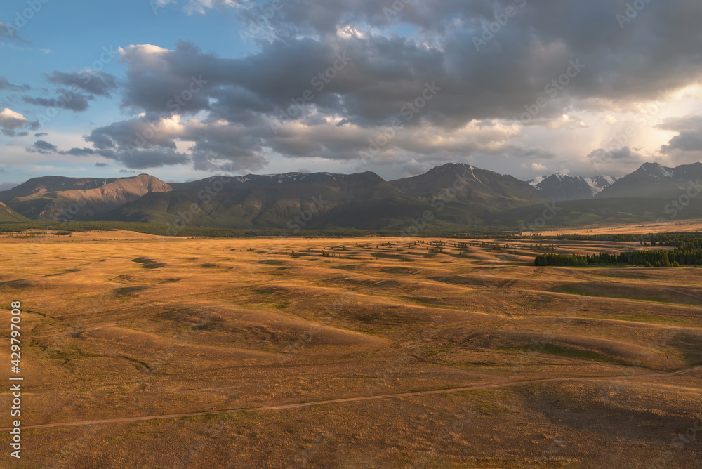 Obraz premium mountains steppe forest clouds sunset
