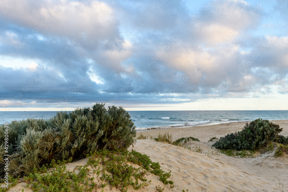 View from the top of a dune over Indian ocean with dramatic clouds in the sky and green plants growing on the dune. View from the top of a dune over Indian ocean with dramatic clouds in the sky and green plants growing on the dune.