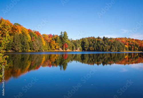 Fall colours and a clear blue sky reflecting off of a calm blue lake - Gatineau Park, Quebec, Canada