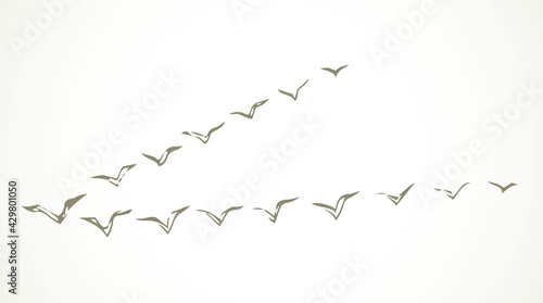 Duck flock in the sky. Vector drawing
