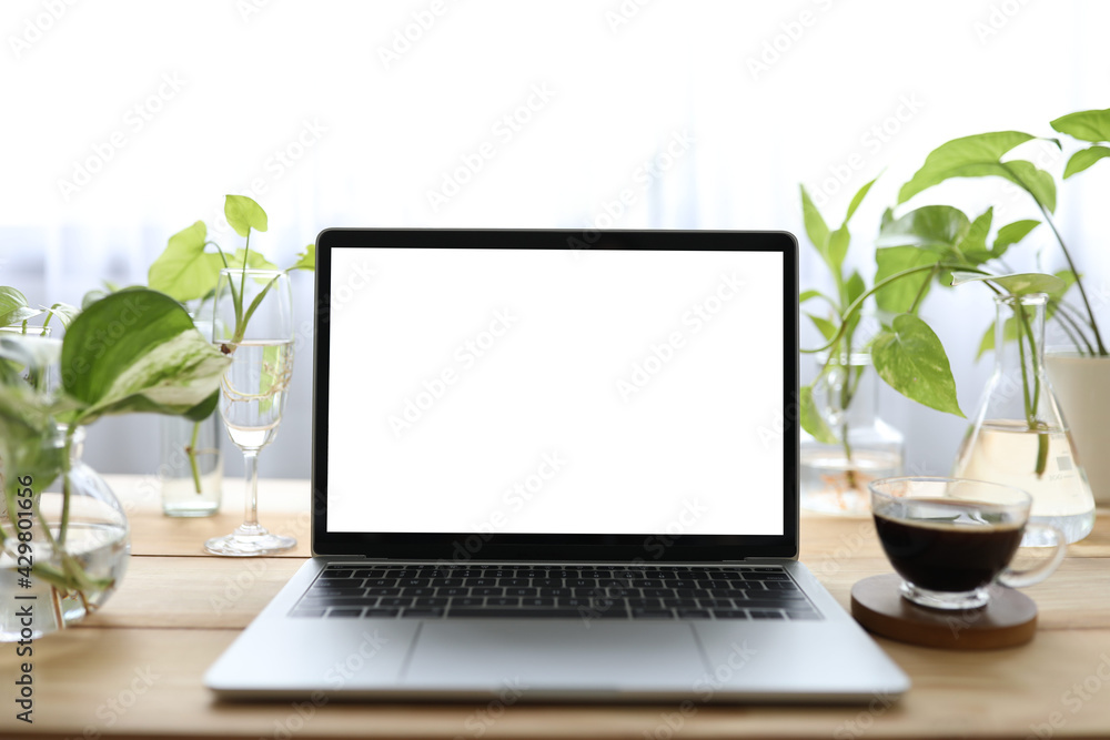 Fototapeta premium Laptop with a glass of coffee and water plants in clear glass vase and cup