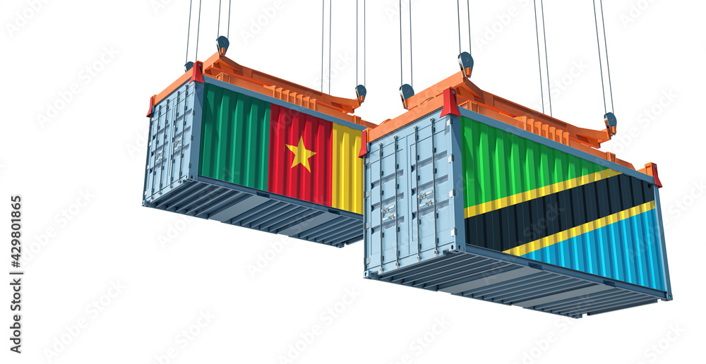 Freight containers with Cameroon and Tanzania national flags. 3D Rendering 