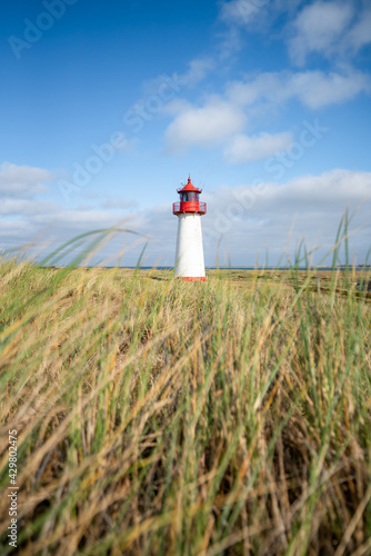 Lighthouse List West along the North Sea coast  Sylt  Schleswig-Holstein  Germany