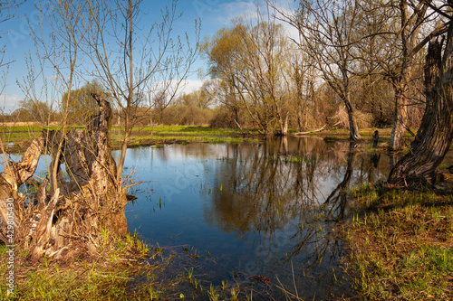 Wiosna nad rzeką 