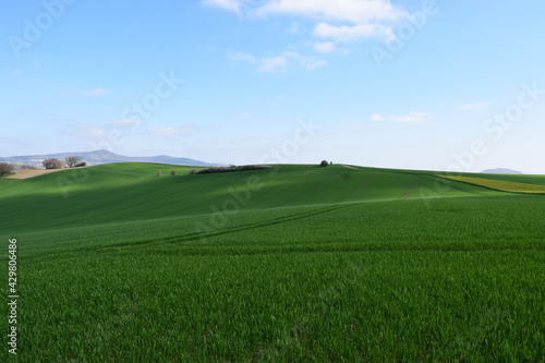 wellenförmige grüne Hügel photo