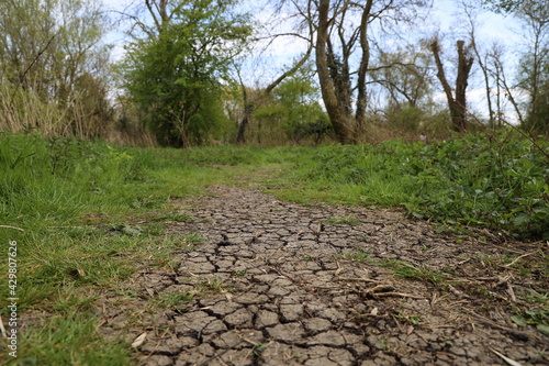 dry cracked soil in drought 
