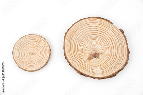 Fototapeta Naklejka Na Ścianę i Meble -  Wood slice with Annual Ring Pattern on a white background, circle, round.