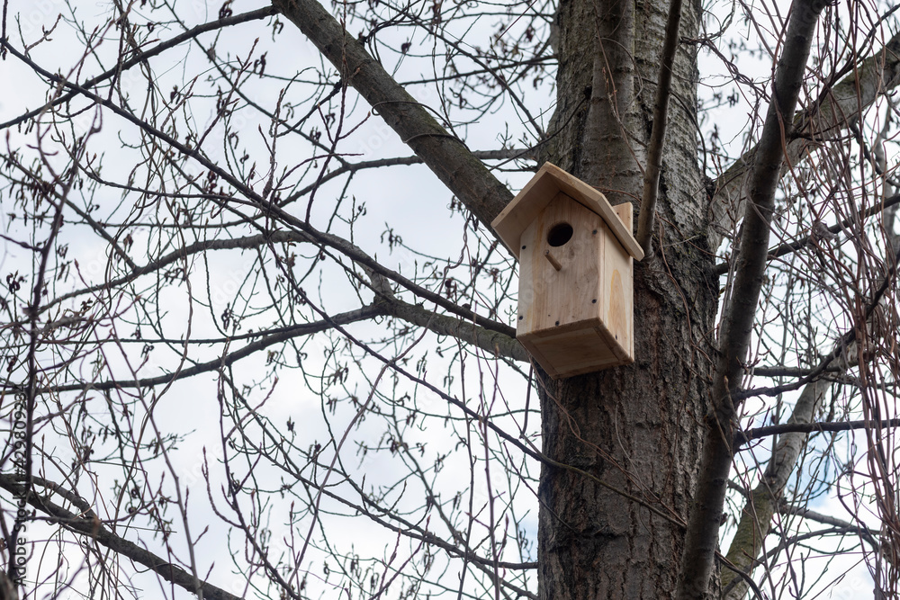 Ukraine, Kyiv - 21 April 2021: Starling box on the tree Ukraine, Kyiv - 21 April 2021: Starling box on the tree