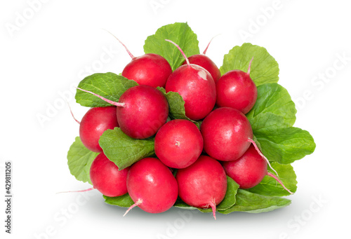 Bunch of fresh radishes with green tops isolated on white background with soft shadow