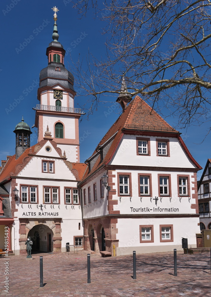 Fototapeta premium Erbach Marktplatz - Market Place