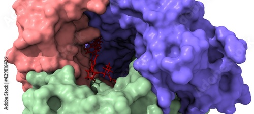 Photography drug design