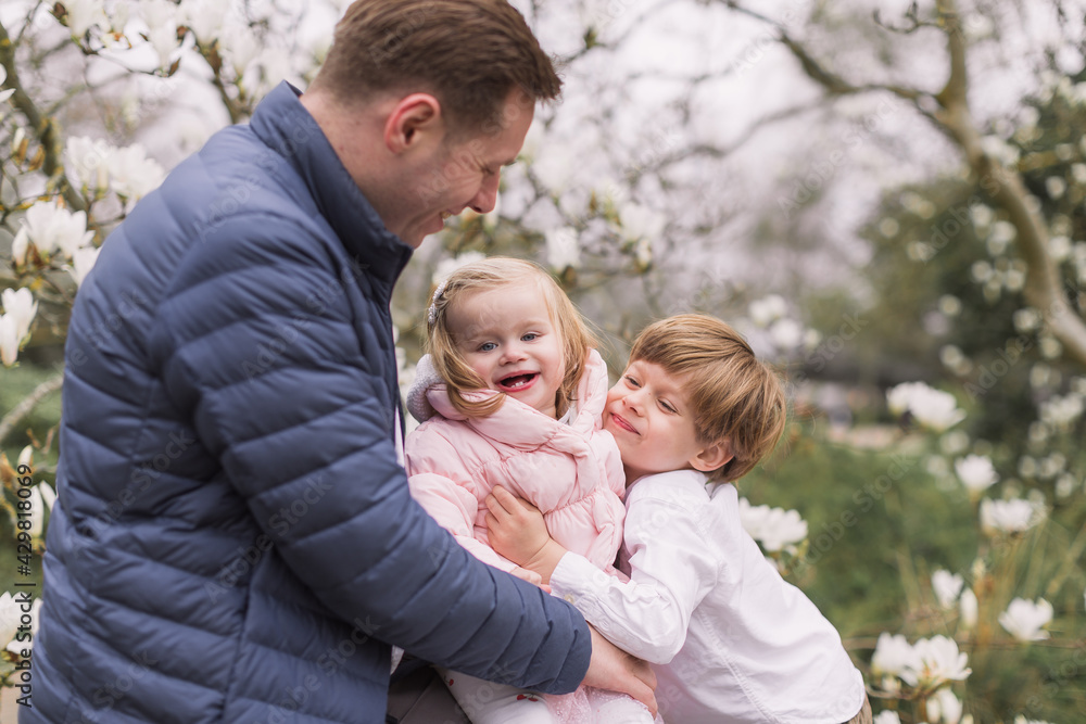 Happy young father holding his daughter on his lap when brother hugs her. Warmly dressed. Background of magnolia blossoms. Happy young father holding his daughter on his lap when brother hugs her. Warmly dressed. Background of magnolia blossoms.