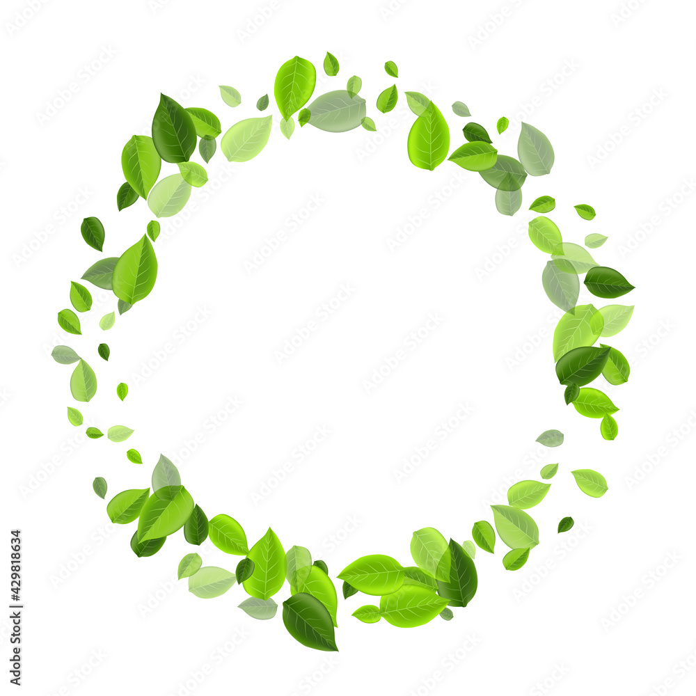 Forest Leaves Realistic Vector Illustration. Forest Leaves Realistic Vector Illustration.