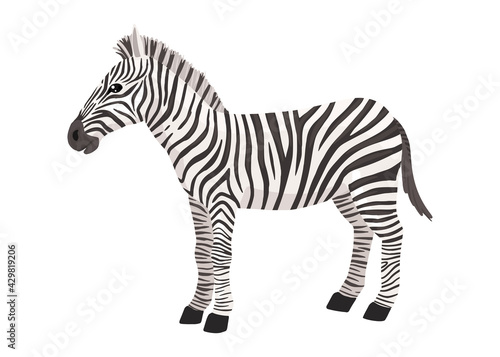 Zebra  striped horse  African savannah animal  striped hide. Wild animal  cute character  cartoon vector drawing.
