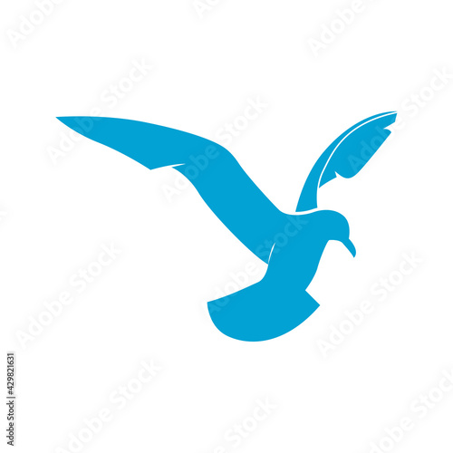 Seagull logo vector art and graphics