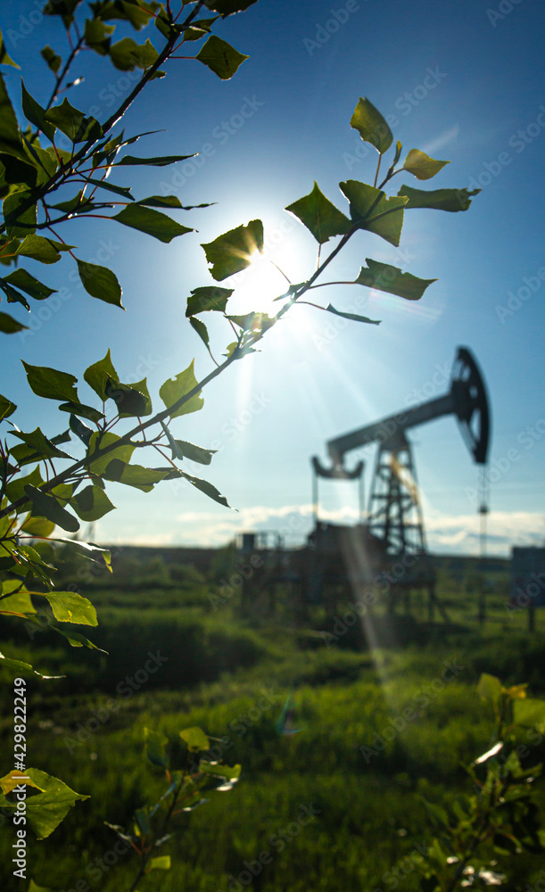 leaves on the branches of a young aspen in sunlight against the backdrop of a defocused oil pump leaves on the branches of a young aspen in sunlight against the backdrop of a defocused oil pump