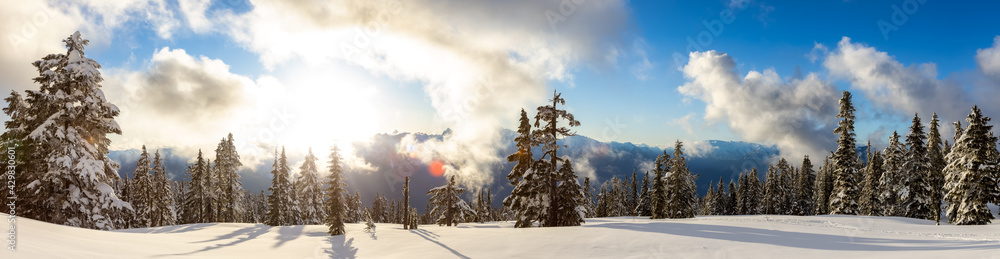 Fototapeta premium Panoramic View of Canadian Nature Landscape on top of snow covered mountain and green trees during spring sunset. Elfin Lake in Squamish, North of Vancouver, British Columbia, Canada.
