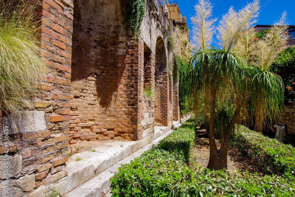 Naklejka premium brick wall with palms