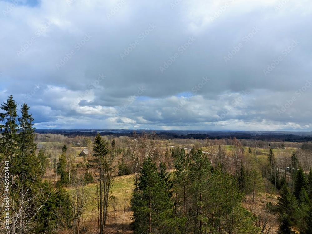 Naklejka premium nature view from the observation tower
