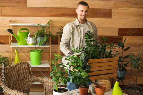 Young man taking care of pl...