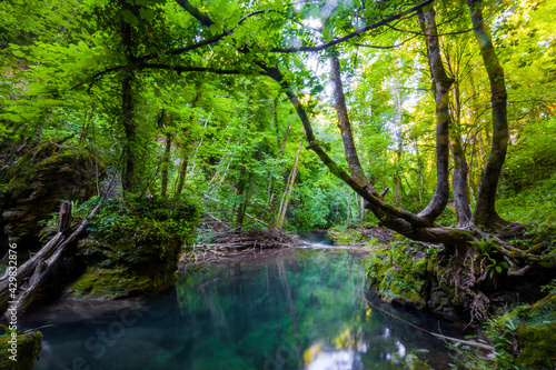 La Vaioaga waterfall  Cheile Nerei National Park  Caras Severin  Romania 