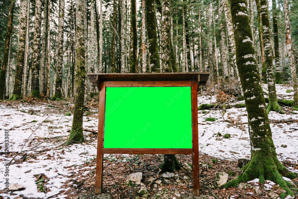 Empty stationary wooden easel in the forest among the trees