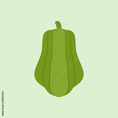 chayote flat design vector illustration.Chayote plant icon. Flat illustration of chayote plant vector icon for web design