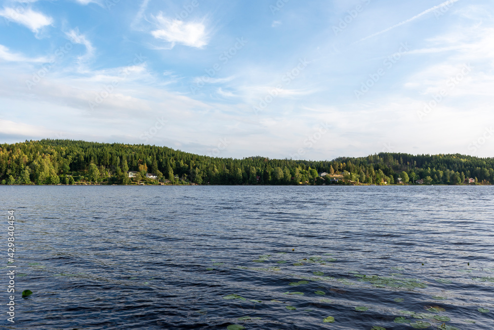 Lake Life in Sweden