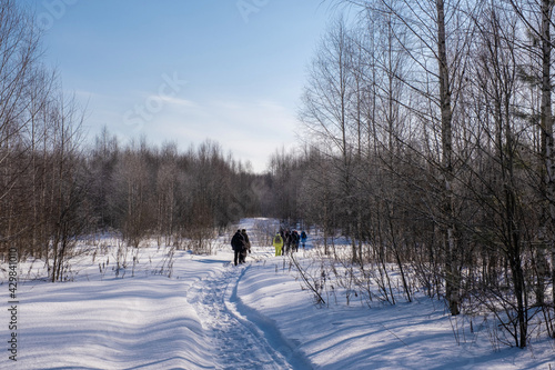A group of tourists in a winter snow forest on a sunny day.